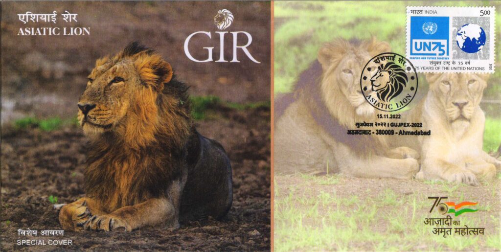 Special cover on Asiatic lion