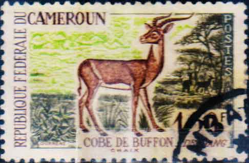 Stamp on Buffon's Kob (Federal Republic of Cameroun 1962)