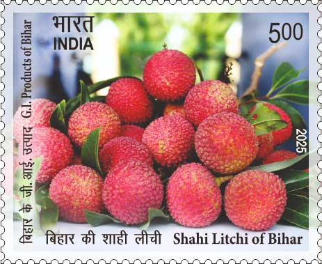 G.I. Products of Bihar - Shahi Litchi of Bihar