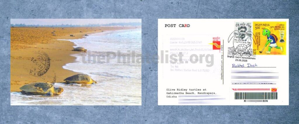 A Postcard posted with Special Pictorial Cancellation on World Turtle Day 2025 from Kendrapara on the Date of Issue
