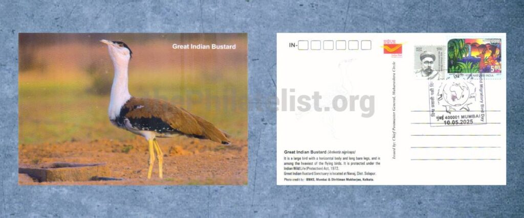 Postcard with Special Cancellation on World Migratory Bird Day from Maharashtra Postal Circle